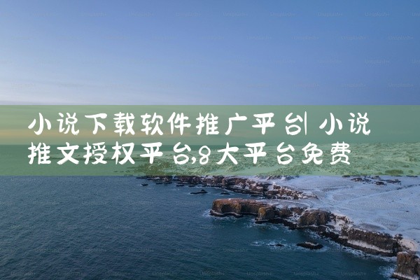 小说下载软件推广平台