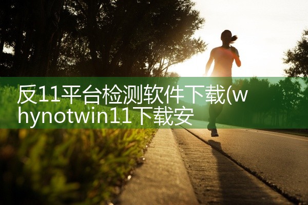 反11平台检测软件下载