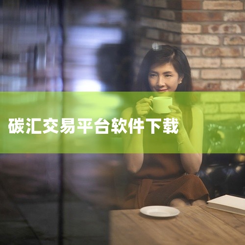 碳交易软件有多个，其中比较知名的有以下几种：一、上海环境能源交易所交易系统1. 基本情况：这是国内碳交易市场的重要平台之一。它依托上海环境能源交易所的权威地位，为各类碳排放权交易提供了规范、专业的交易,