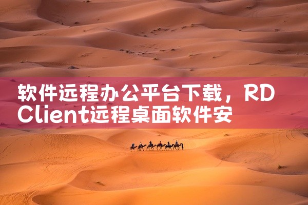软件远程办公平台下载