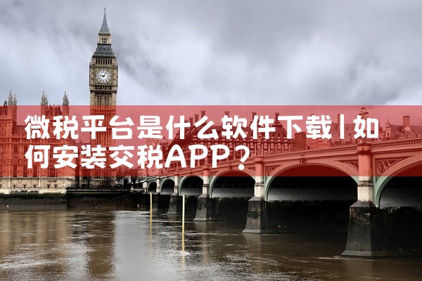 微税平台是什么软件下载