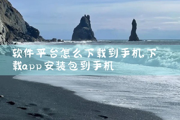 软件平台怎么下载到手机
