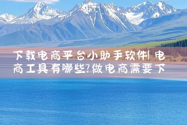 下载电商平台小助手软件