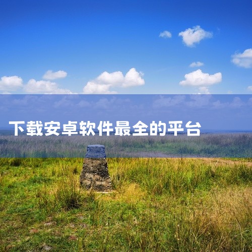 2.  酷安：受极客群体喜爱，支持开发者直接入驻，用户可第一时间获取软件更新，还可在评论区与技术大佬交流。3.  万能软件商店：安卓平台免费软件游戏下载平台，具备极速、全面的特点，采用系统加人工双重审|