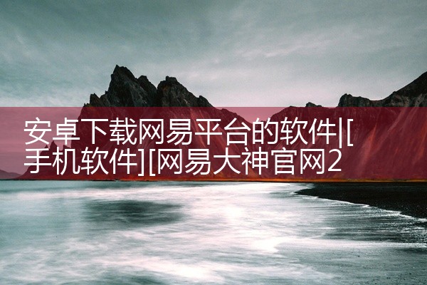安卓下载网易平台的软件