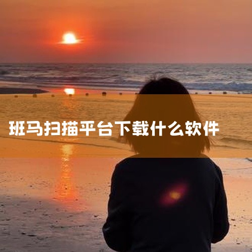 点击APP图标：打开手机屏幕上的斑马扫描王APP图标，启动该应用。登录并进入文件页面：登录斑马扫描王APP后...,