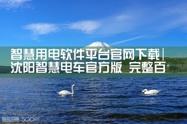 手机网络软件下载平台