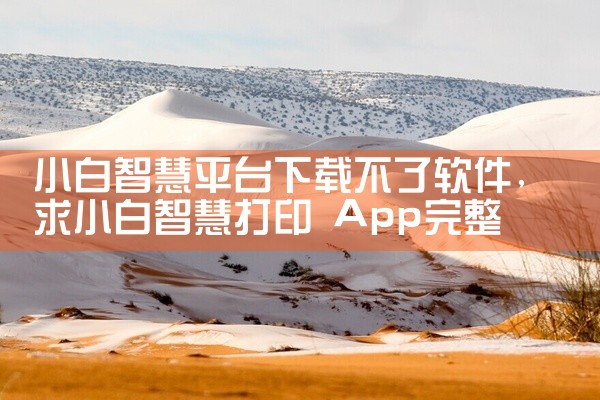 小白智慧平台下载不了软件
