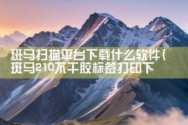 班马扫描平台下载什么软件